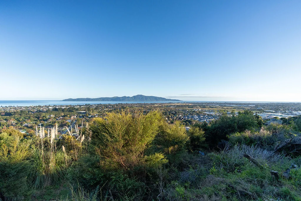 Paraparaumu Build Your Vision Above the Rest!