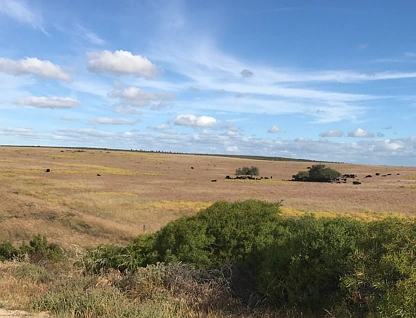 22 Greenwood Coast Road, Breton Bay, Wheat Belt, 0 Kuwarto, 0 Banyo, Lifestyle Property