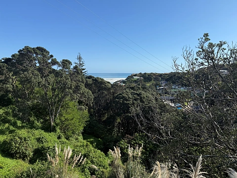 Dargaville Surrounds  Rare As Hens Teeth