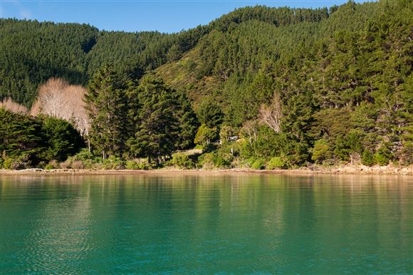 Te Ipapakereru Bay, Arapaoa Island, Marlborough, 0 Bedrooms, 1 Bathrooms