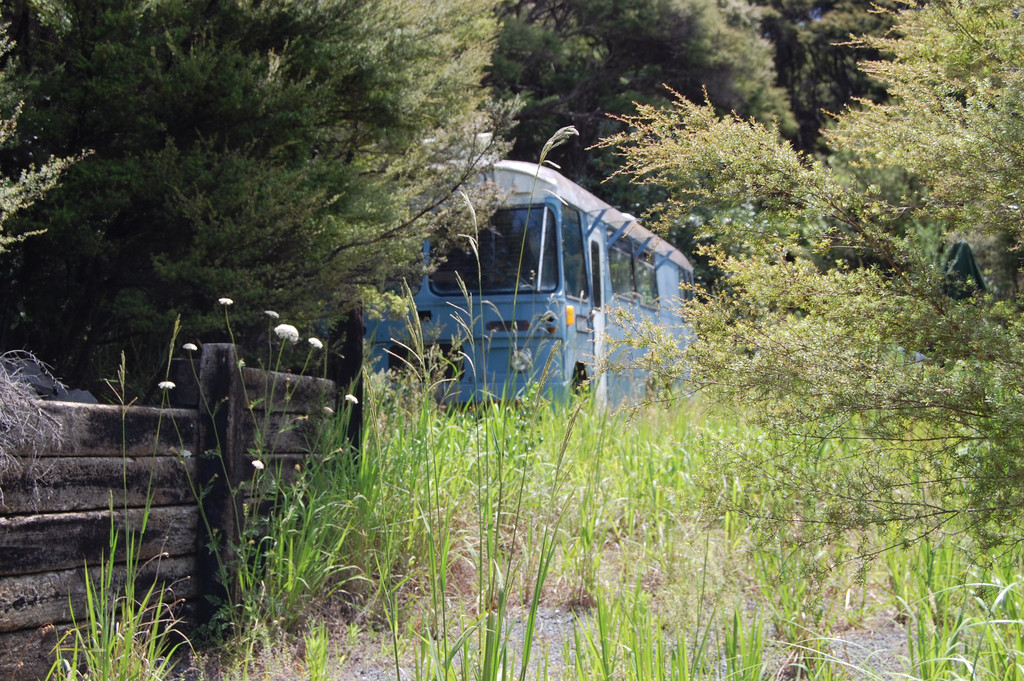 Hauraki Gulf Islands