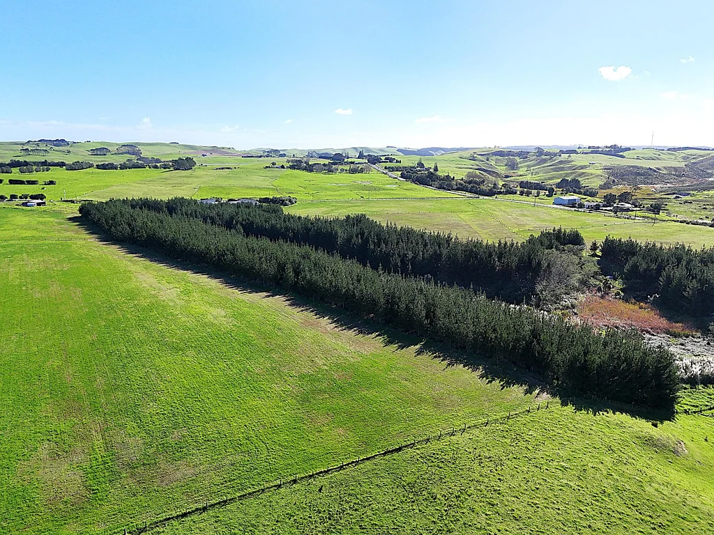 Dargaville Versatile 16ha Grazing Block