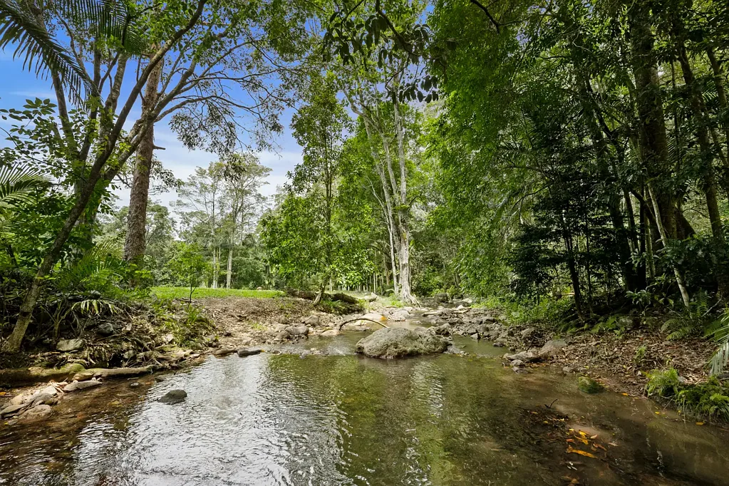 Upper Crystal Creek  Magical Rainforest Property.