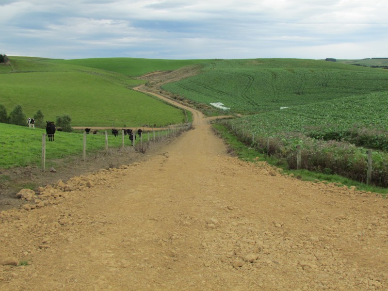 328 Woodslea Downs Road, Wyndham Surrounds, Southland, 0 rūma, 0 rūma horoi, Grazing