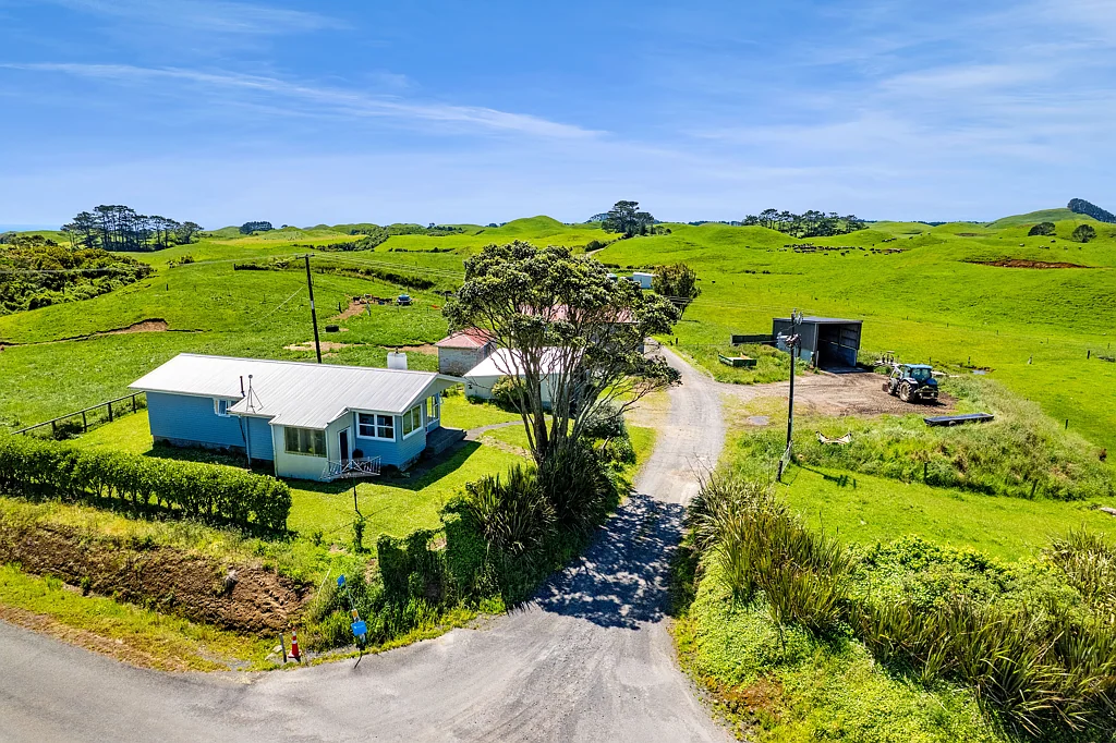 Rahotu  Parihaka Dairy farm
