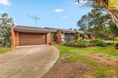 Darley 4Moenga Family Comfort on a Large Block