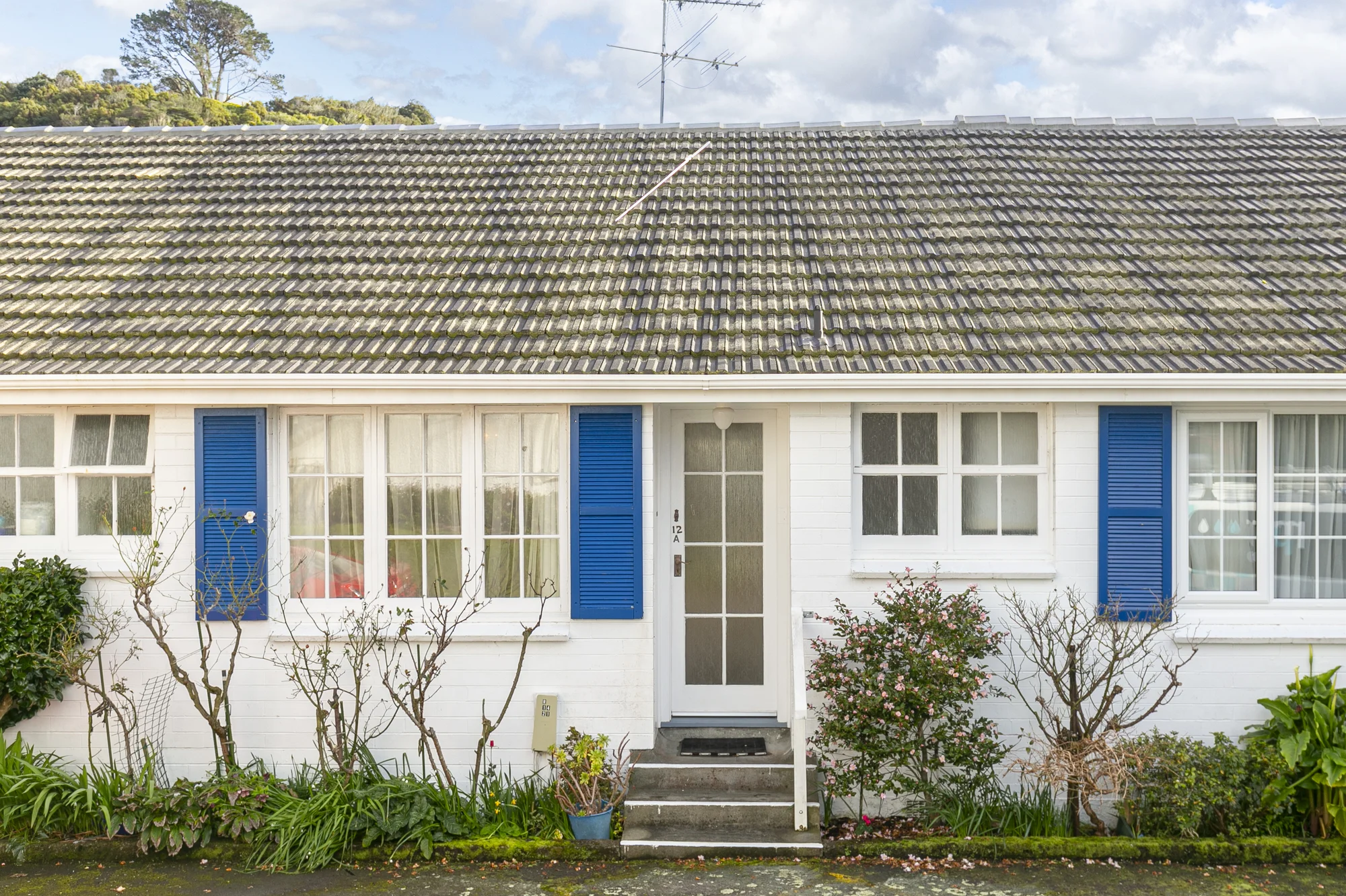 Karori 1房  Sun, Cute Factor and Car Park