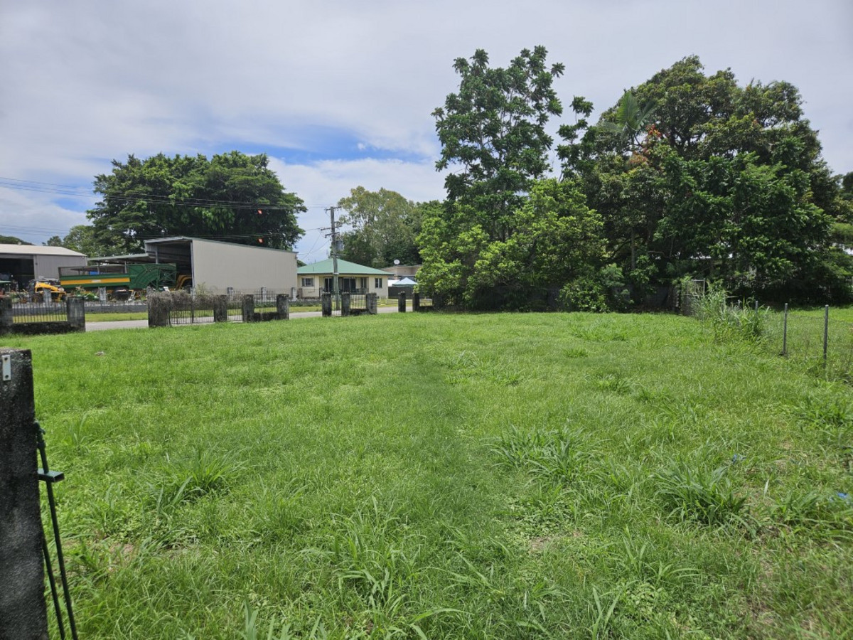 13 GORT ST, INGHAM QLD 4850, 0房, 0浴, Section