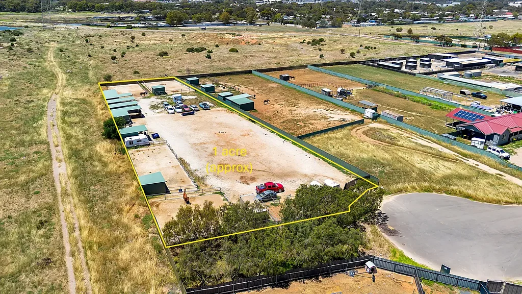Globe Derby Park A Dream Address for Horse Enthusiasts