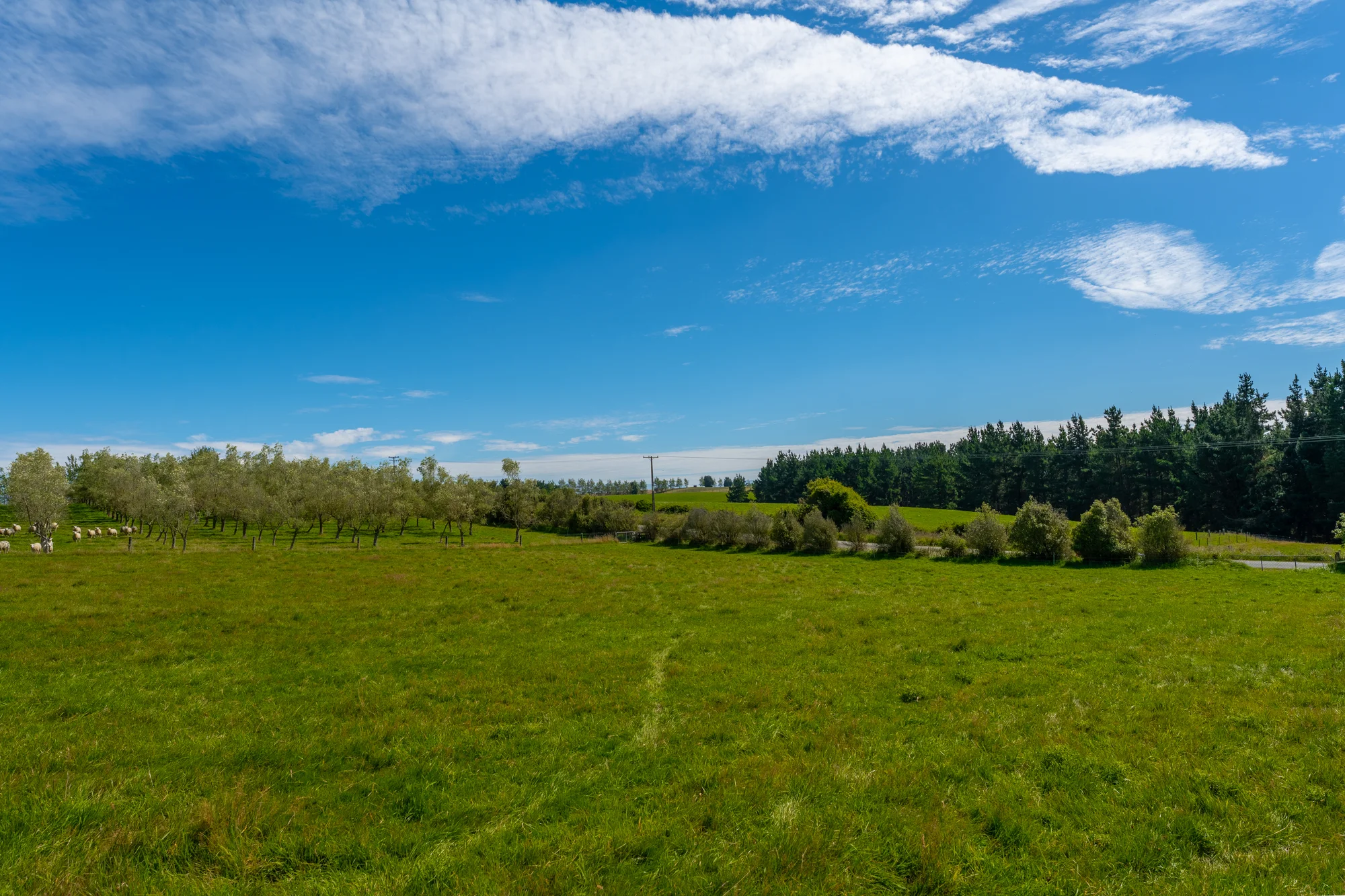 Rolling Ridges Road, Levels Valley, Timaru, 4 habitaciones, 2 baños, Lifestyle Section