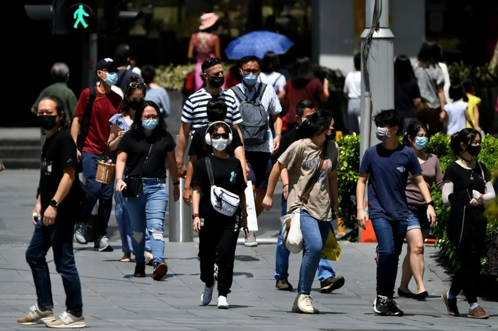 这个疫苗接种率全球第一的国家,突然把新西兰列入“黑名单”!部分中国人将受益!