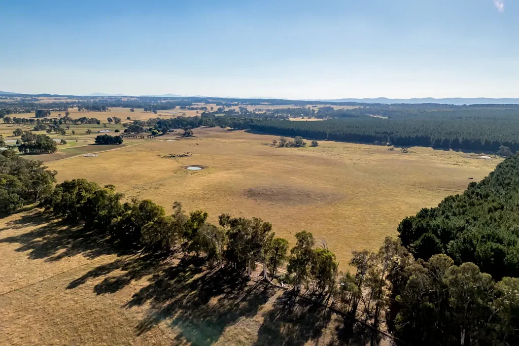 Rosewood  Prime Grazing or The Home of your Dreams?