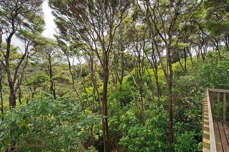 Hauraki Gulf Islands