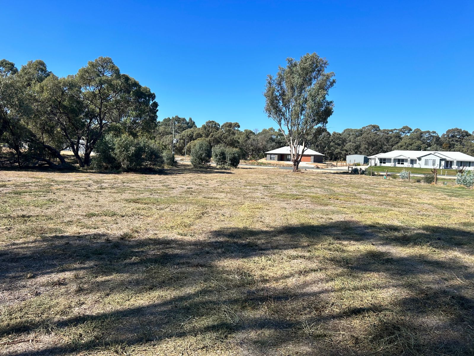 39 VINECOMBE LANE, BARHAM NSW 2732, 0房, 0浴, Section