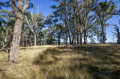 Address Withheld, Yea, VIC 3717, 0 Bedrooms, 0 Bathrooms, Lifestyle Property