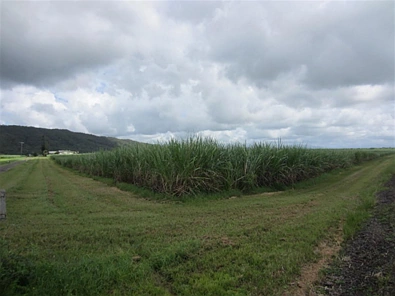 地址保密, South Johnstone, QLD 4859, 3房, 1浴, Lifestyle Property