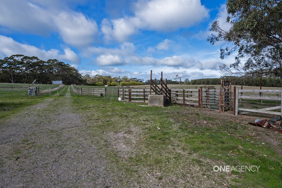 109 WILLIAMS RD, SCOPUS TAS 7330, 0房, 0浴, Lifestyle Property