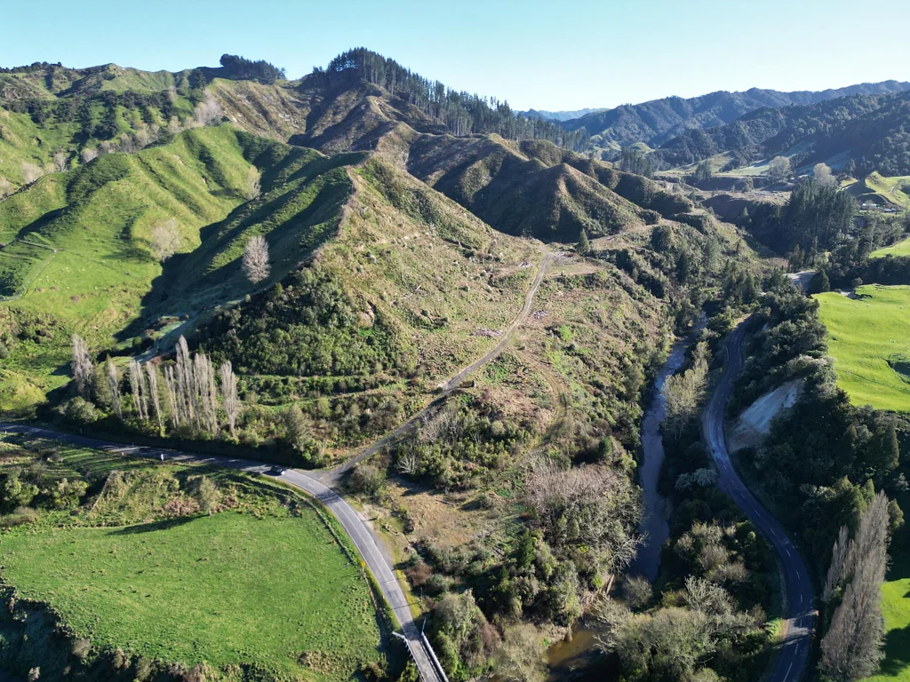 Owhango Farm it or plant it