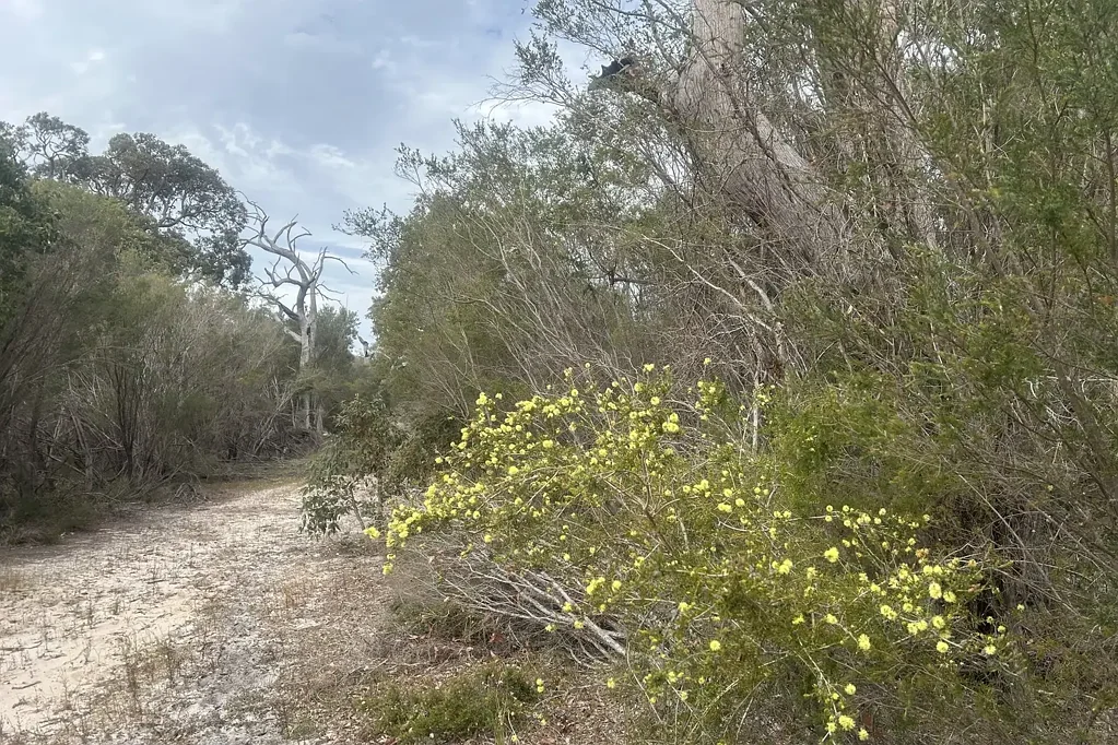 North Boyanup Your Bush Sanctuary Awaits