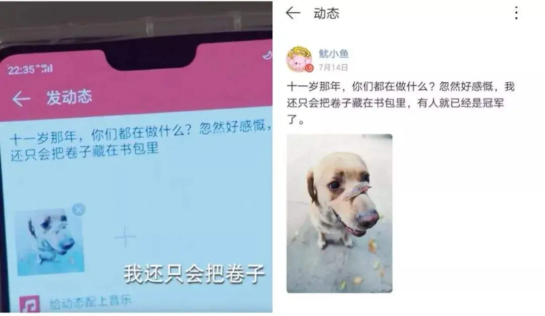 单箭头狂欢这么久，这届观众终于找到了通往影视世界的入口