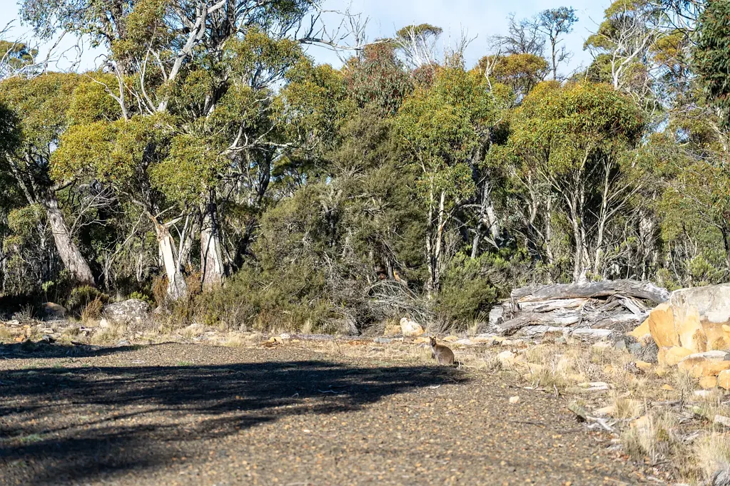 16 Anglers Crescent, Miena, TAS 7030