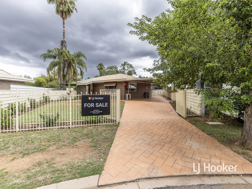12 Holtermann Court, Larapinta, NT 875