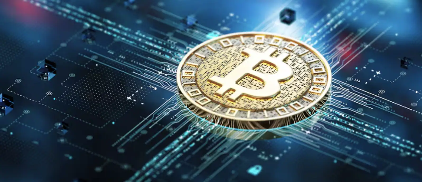 房地产vs比特币：哪个才是当下新西兰人的首选？