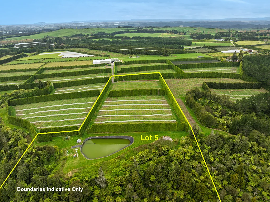 Lot 5/1010 Te Matai Road, Te Ranga, Western Bay of Plenty, Bay of Plenty