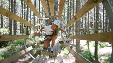 周末好去处：Tree Adventures乐园，树木间的探险活动