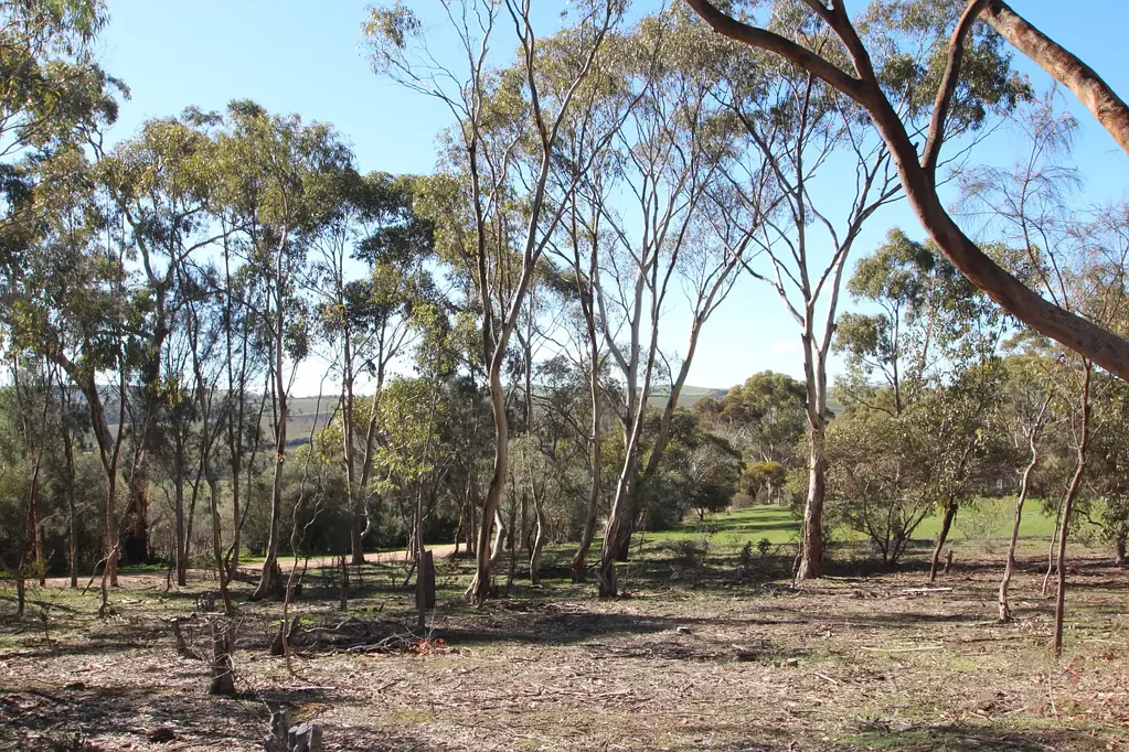 Leasingham BEAUTIFUL COUNTRY LIVING 1800 SQM ALLOTMENT IN PICTURESQUE LEASINGHAM