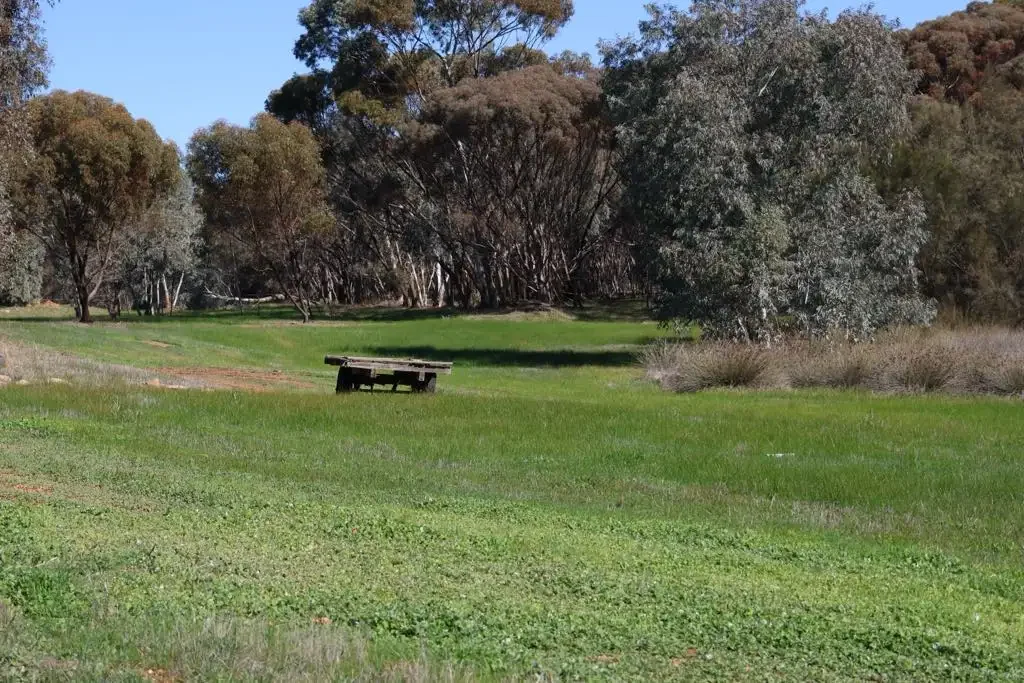 Wandering  Stunning Acreage Block A Rural Gem!