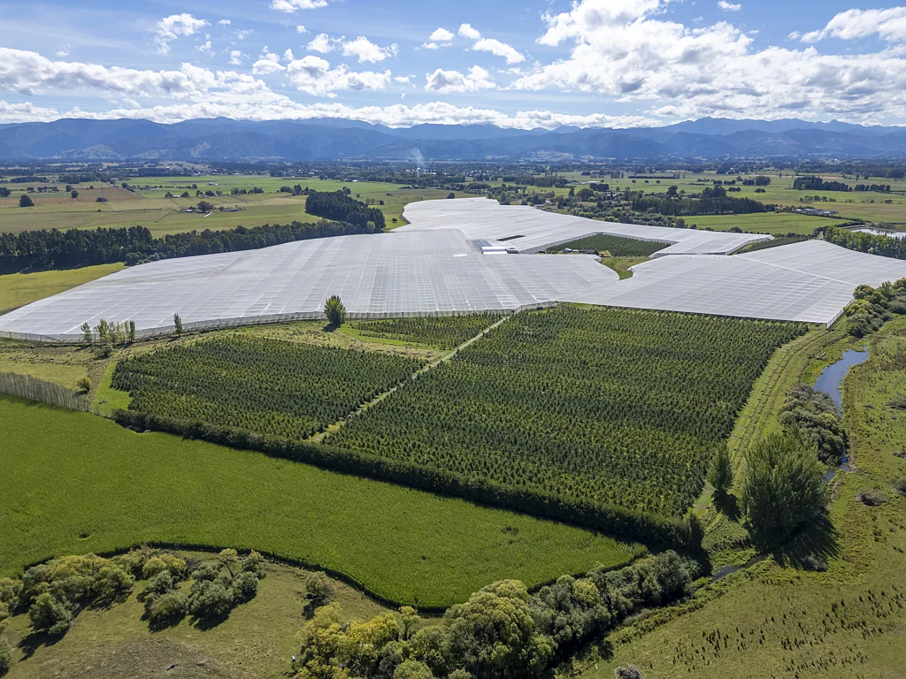 Greytown Royal Gala at Greytown