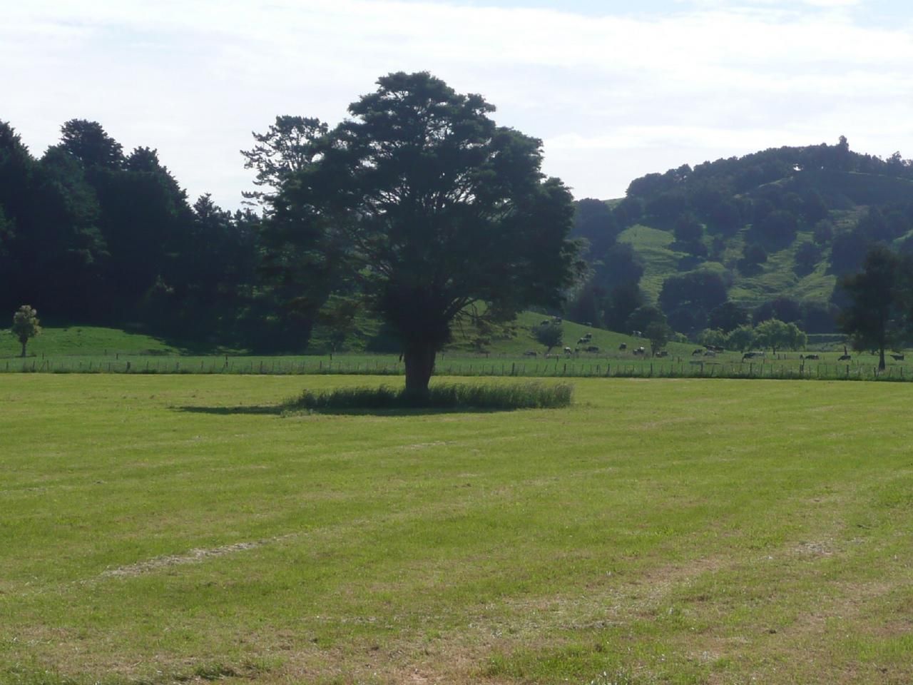 432 Pukehuia Road, Tangiteroria, Kaipara, 1 રૂમ, 1 બાથરૂમ