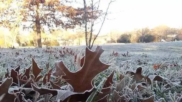 紧急预警：新西兰寒流风暴来袭！骤降10度！皇后镇将下雪……