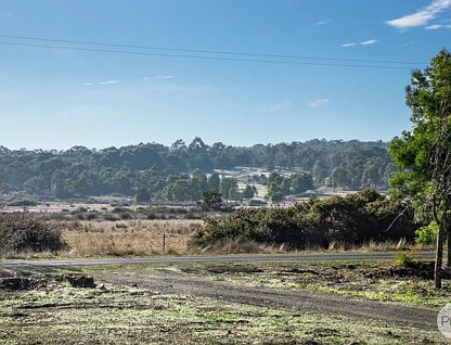 80 Careys Road, Scarsdale, VIC 3351, 0 ਕਮਰੇ, 0 ਬਾਥਰੂਮ, Section