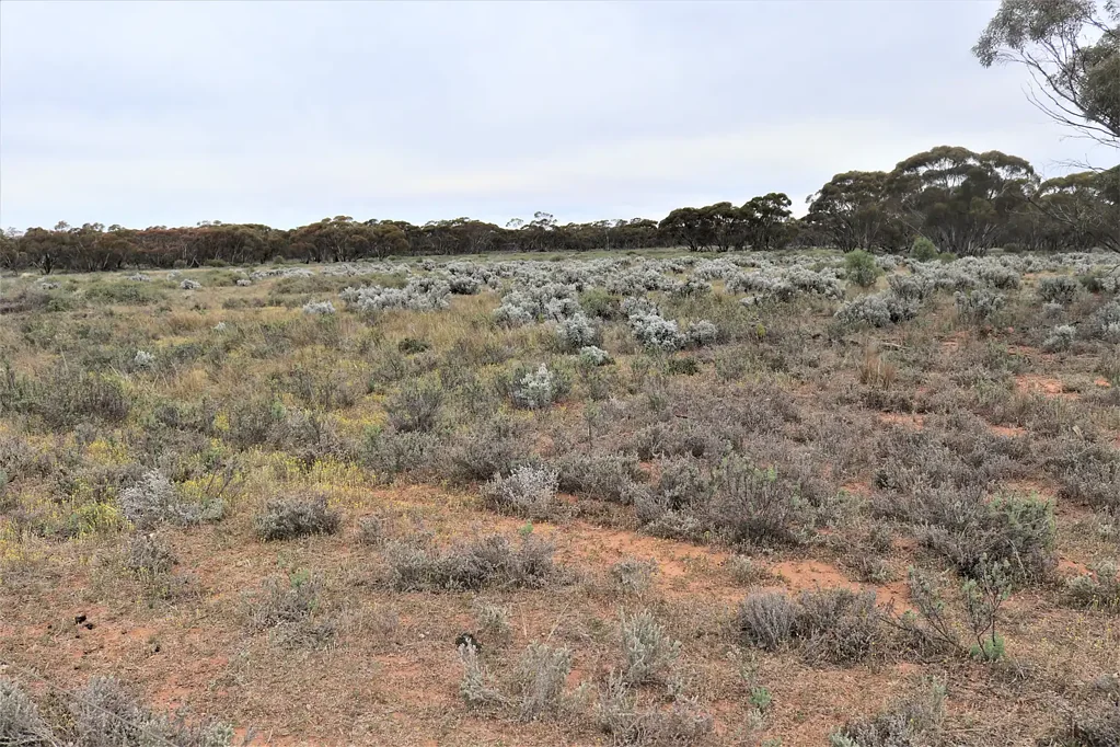 'Mundonah' 2301 Arumpo Road, Mallee, NSW 2738