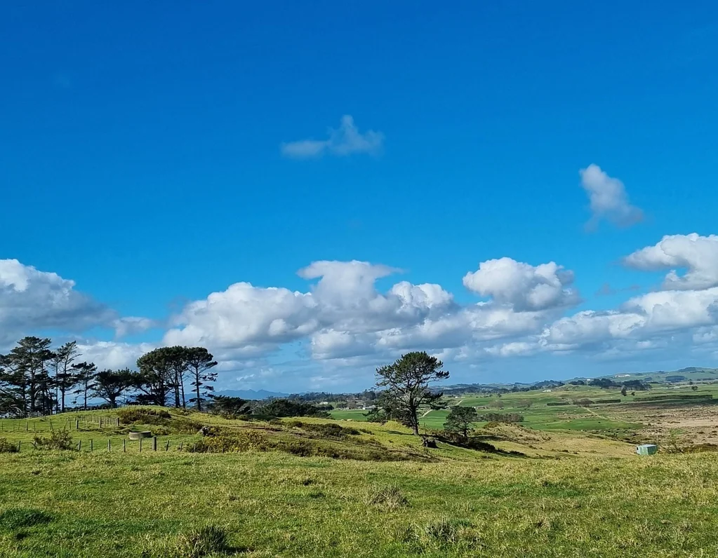 Dargaville 1房  LIFESTYLE BLOCK - Lot 2 - 13.2360 ha.
