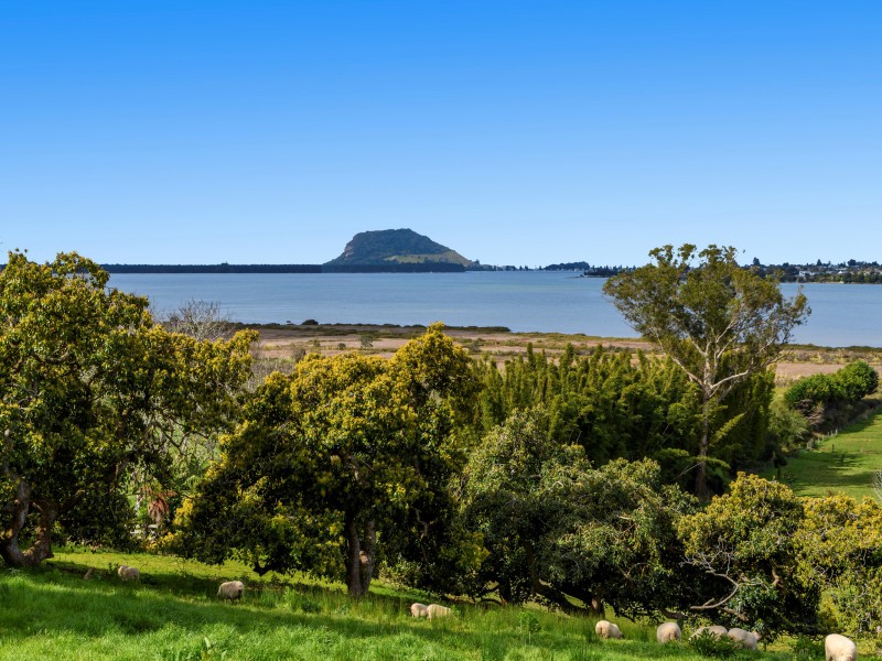 137 Lochhead Road, Te Puna, Bay Of Plenty, 0 રૂમ, 0 બાથરૂમ