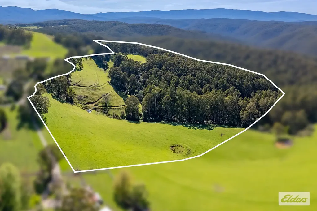 Fumina 66.97 Acres of Scenic Grazing & Bushland with Stunning Baw Baw Views