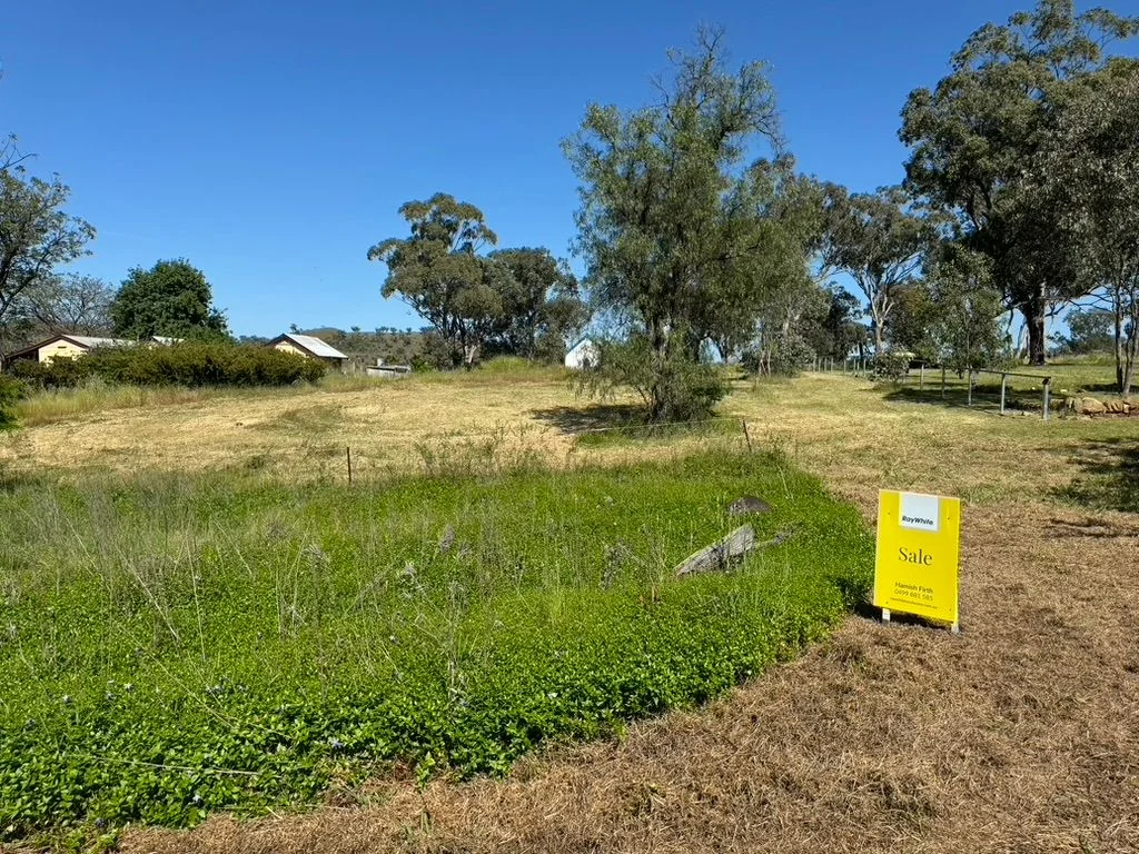 25 Ellerston Street, Moonan Flat, NSW 2337