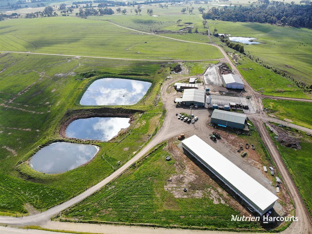 Loch Premier South Gippsland Farm - Jelagri Dairy