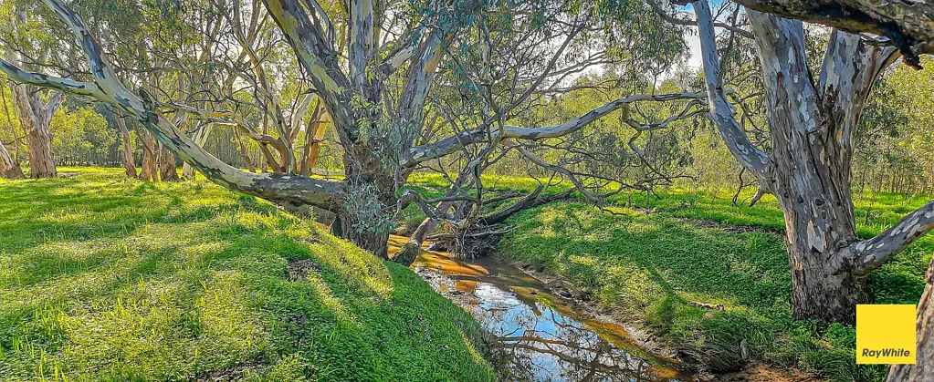Axedale Goanna Flats - 135 acres of privacy in stunning Axedale
