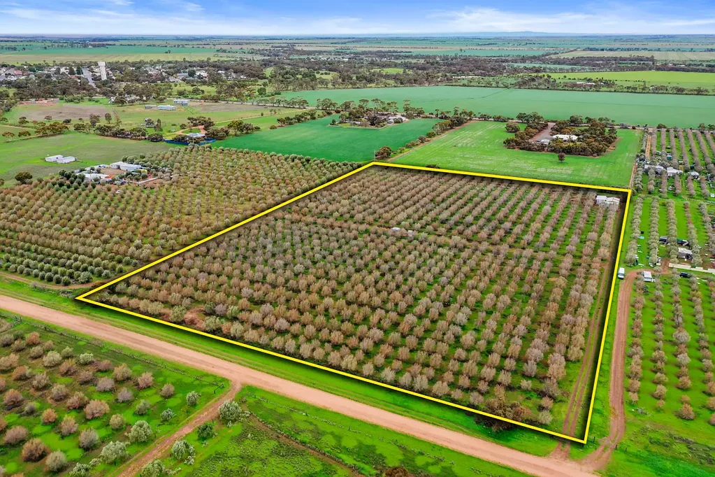 477 Freebairn Estate Road, Owen, SA 5460