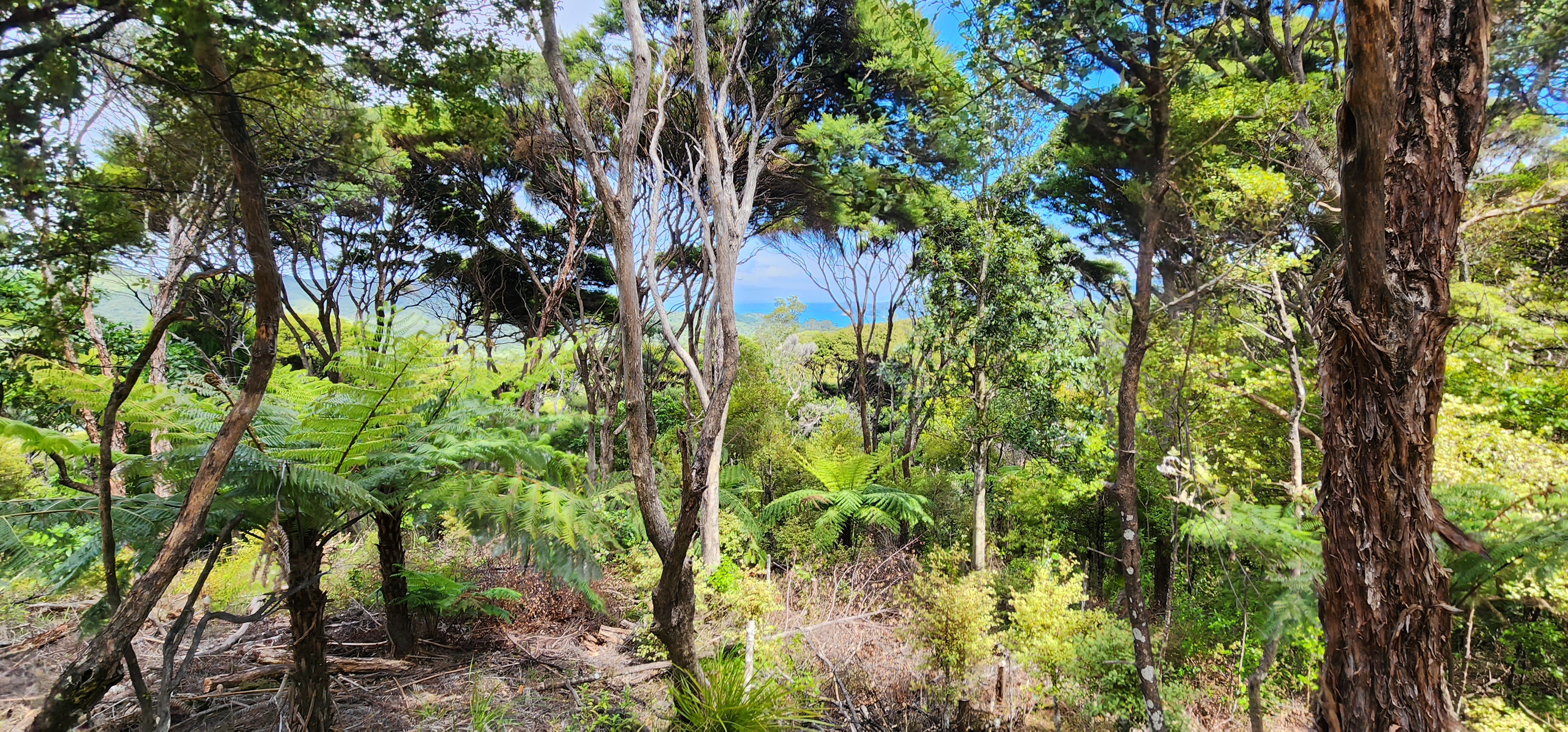 69 Cape Barrier Road, Great Barrier Island (Aotea Island), Auckland, 0 habitaciones, 0 baños, Lifestyle Section