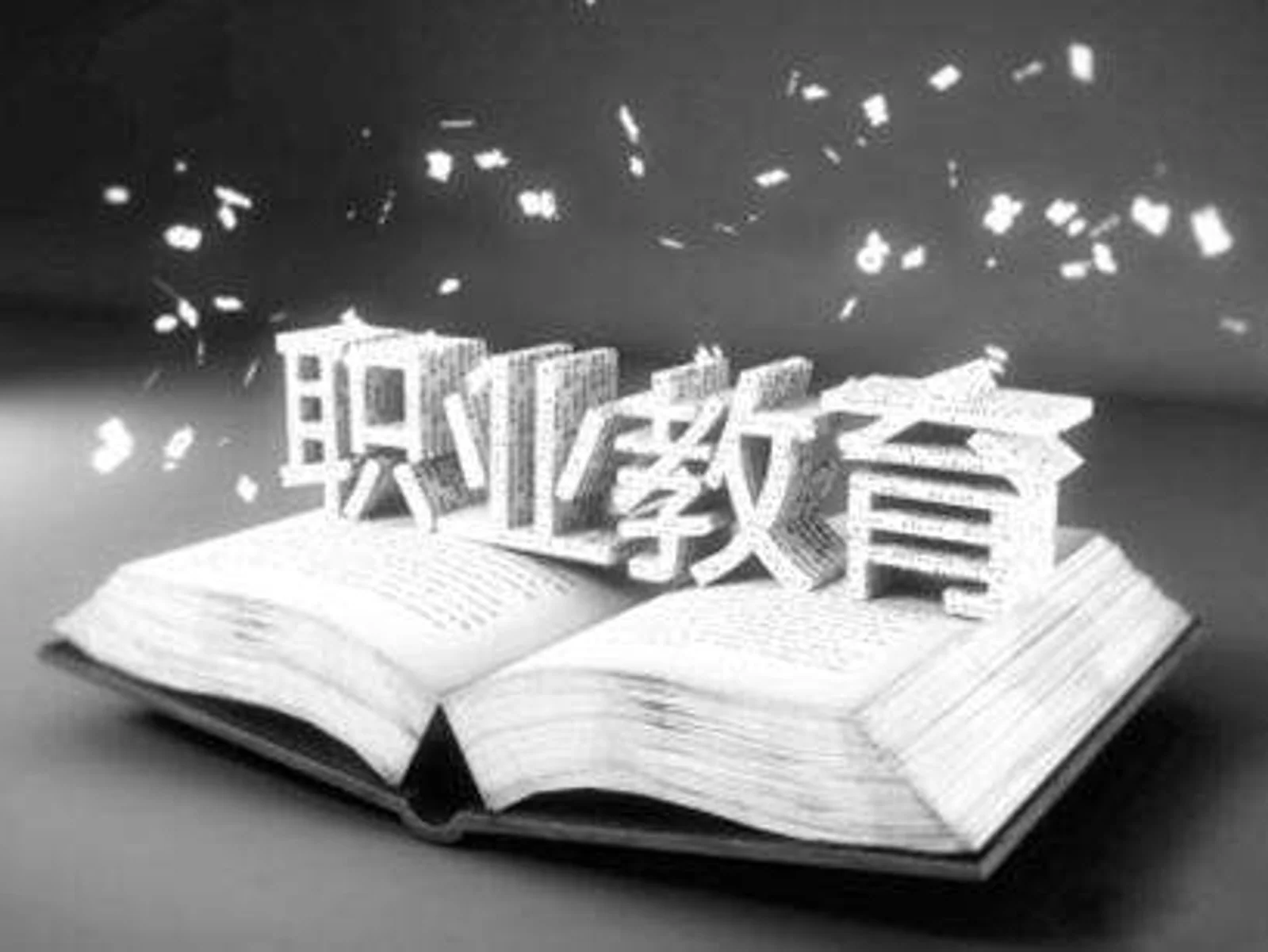 职业教育专题