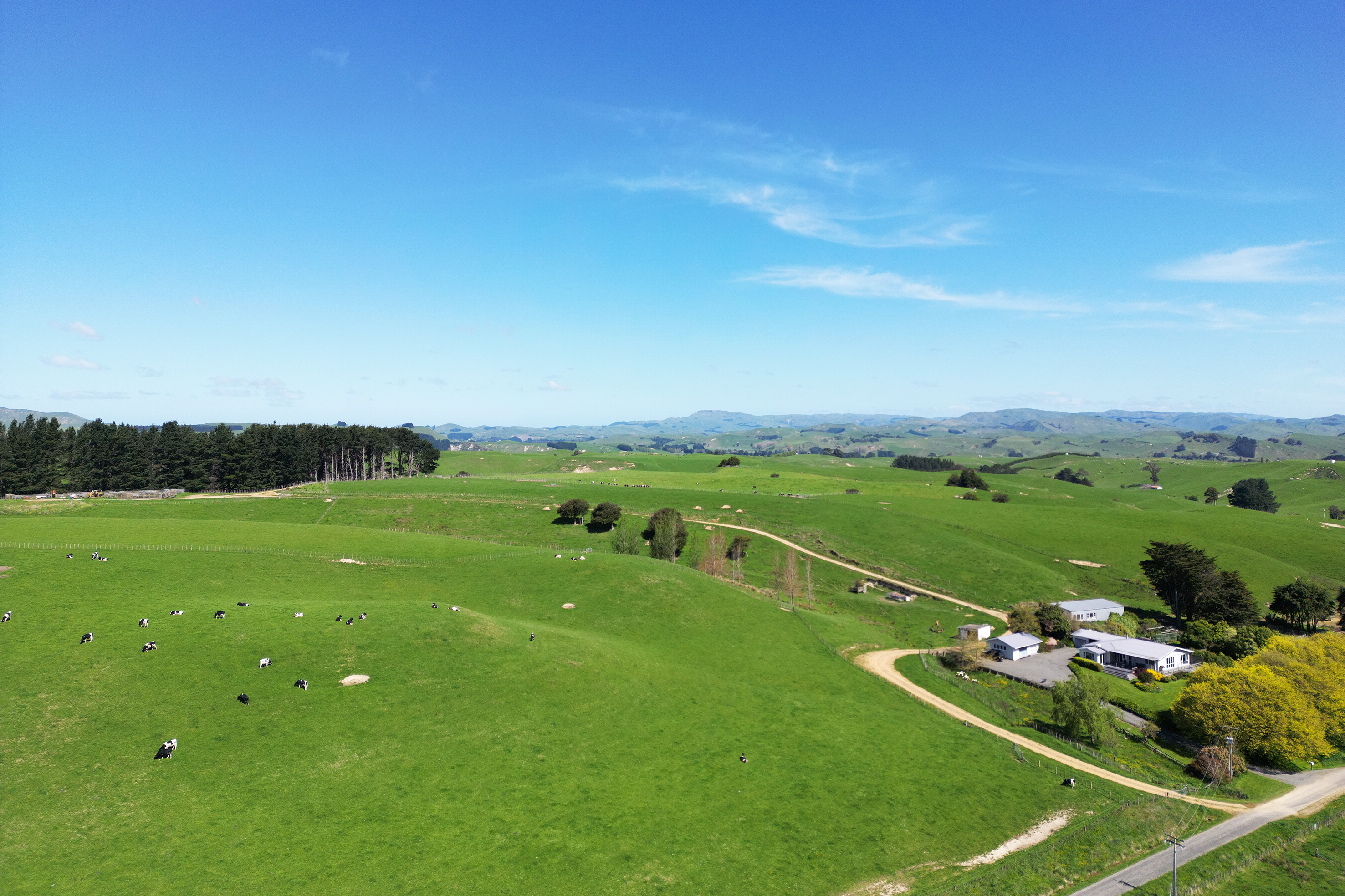 26 Carlson Road, Dannevirke, Tararua, 0 Kuwarto, 0 Banyo, Finishing