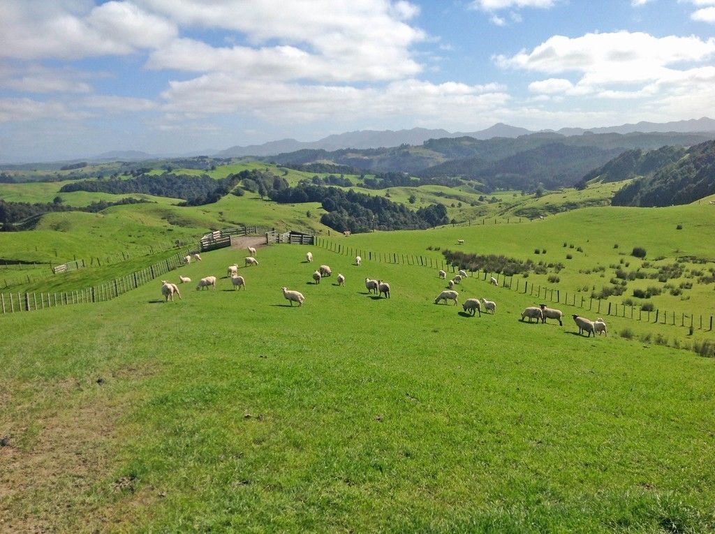 Ararua Road, Otamatea Surrounds, Kaipara, 0房, 0浴