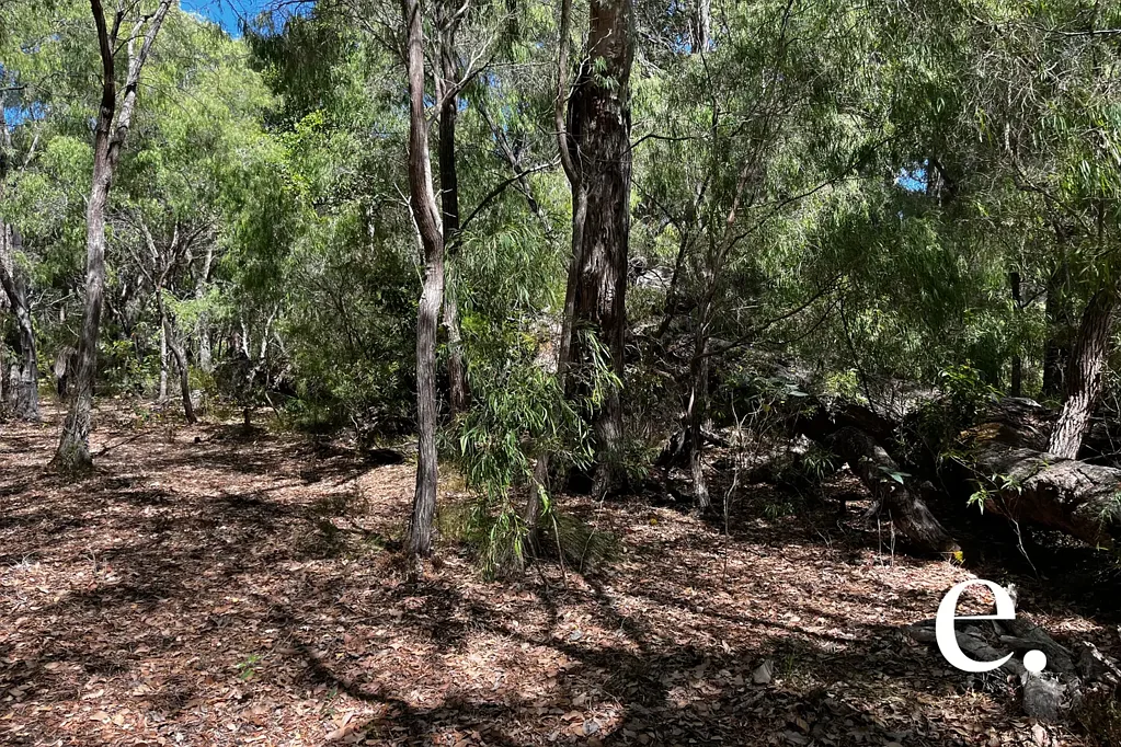 6 Dunkley Close, Molloy Island, WA 6290