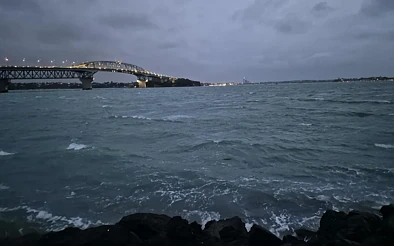 预警升级！奥克兰强风暴雨来袭，海港大桥全封，树倒线断，多地发布橙色警报！
