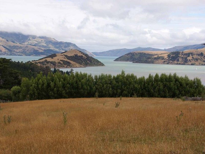 Rural Banks Peninsula